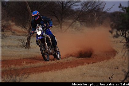 australasian_safari2008_0060.JPG