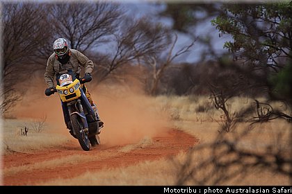 australasian_safari2008_0063.JPG