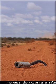 australasian_safari2008_0065.JPG