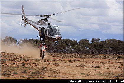 australasian_safari2008_0066.JPG
