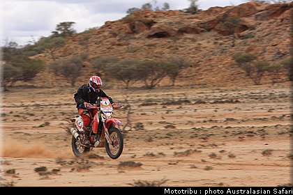 australasian_safari2008_0067.JPG