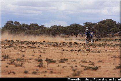 australasian_safari2008_0068.JPG
