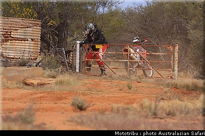 australasian_safari2008_0071.JPG
