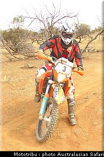 australasian_safari2008_0075.jpg