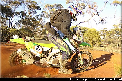 australasian_safari2008_0078.jpg