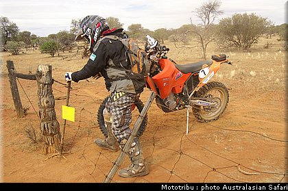australasian_safari2008_0080.jpg