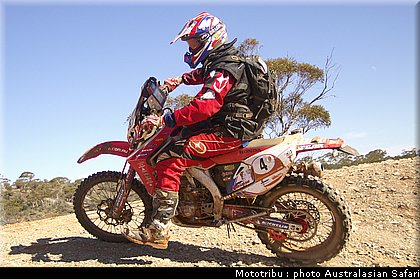 australasian_safari2008_0083.jpg