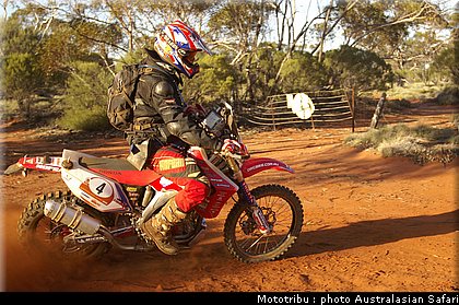 australasian_safari2008_0085.jpg