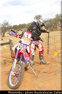australasian_safari2008_0086.jpg