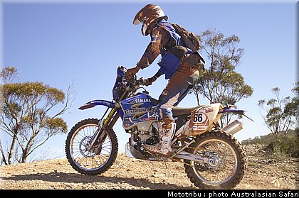 australasian_safari2008_0091.jpg