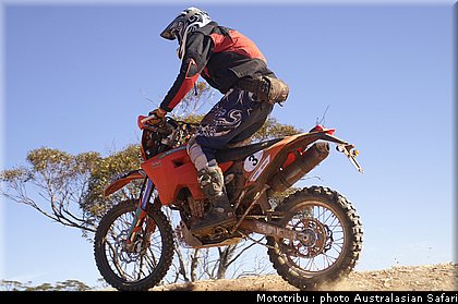 australasian_safari2008_0093.jpg