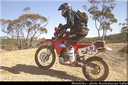australasian_safari2008_0094.jpg