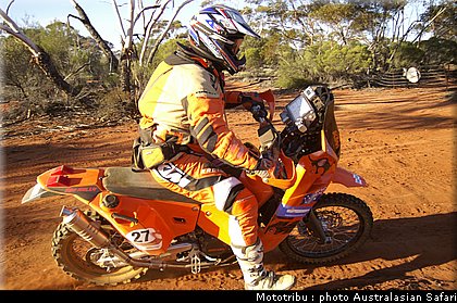 australasian_safari2008_0098.jpg