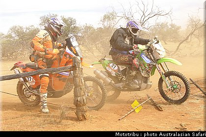 australasian_safari2008_0099.jpg