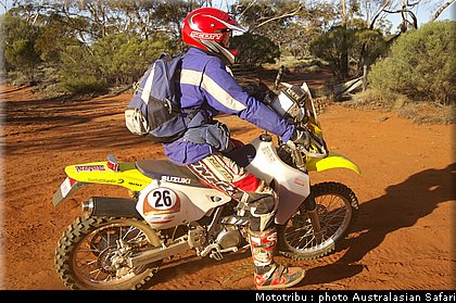 australasian_safari2008_0106.jpg