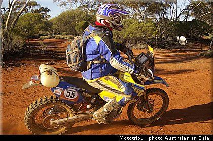 australasian_safari2008_0107.jpg
