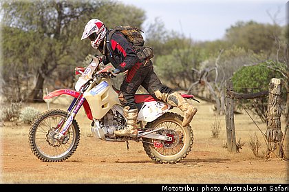 australasian_safari2008_0110.jpg