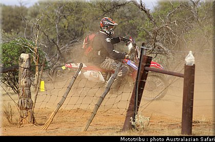 australasian_safari2008_0113.jpg