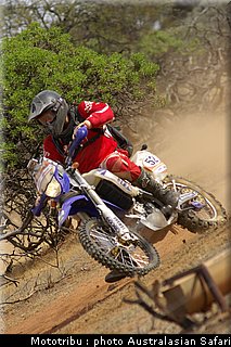 australasian_safari2008_0115.jpg