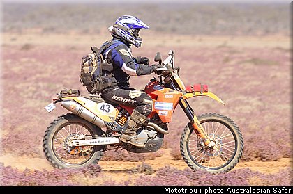 australasian_safari2008_0124.jpg