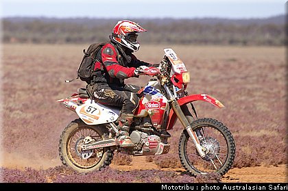 australasian_safari2008_0126.jpg