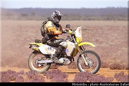 australasian_safari2008_0127.jpg