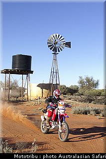 australasian_safari2008_0130.jpg