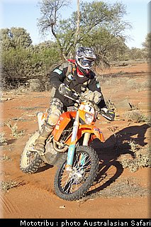 australasian_safari2008_0132.jpg
