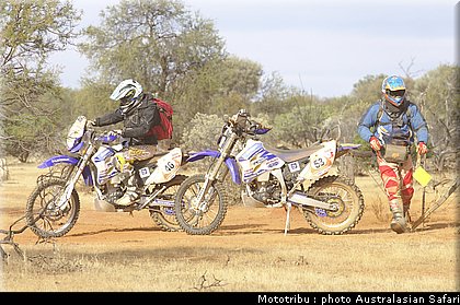 australasian_safari2008_0135.jpg