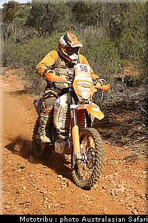 australasian_safari2008_0140.jpg