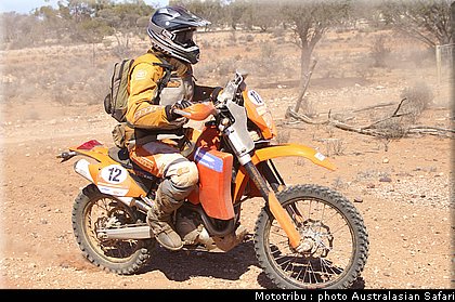 australasian_safari2008_0142.jpg