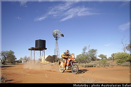 australasian_safari2008_0144.jpg