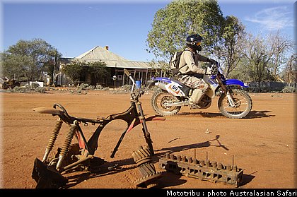 australasian_safari2008_0152.jpg
