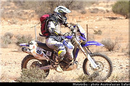 australasian_safari2008_0155.jpg