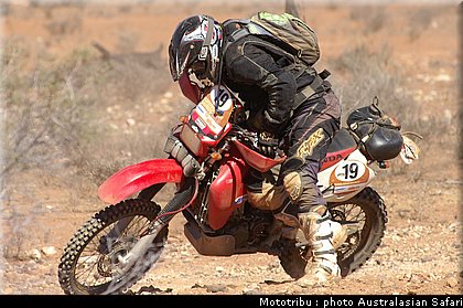 australasian_safari2008_0165.jpg