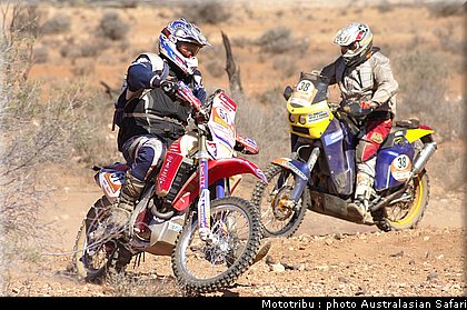 australasian_safari2008_0167.jpg