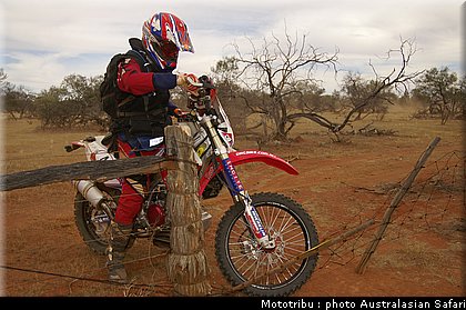australasian_safari2008_0168.jpg