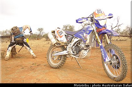 australasian_safari2008_0174.jpg