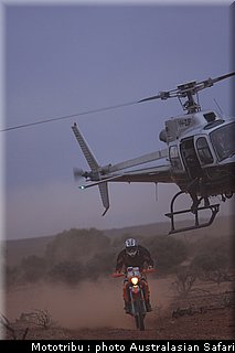 australasian_safari2008_0201.jpg
