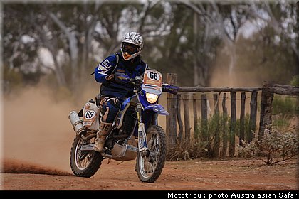 australasian_safari2008_0205.jpg