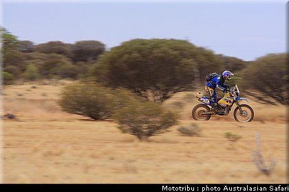 australasian_safari2008_0207.jpg