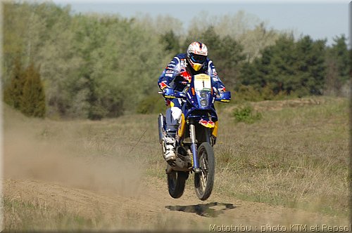 despres_06.jpg
