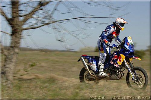 despres_07.jpg