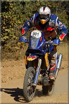 despres_07.jpg