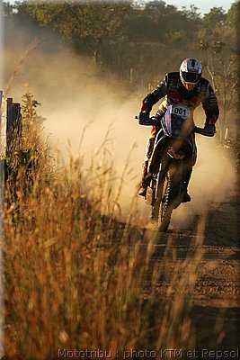 despres_09.jpg