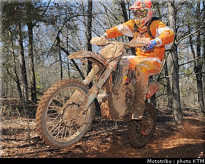 002washington_knight_4.jpg