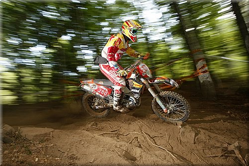 isde_0056_cervantes_03.jpg