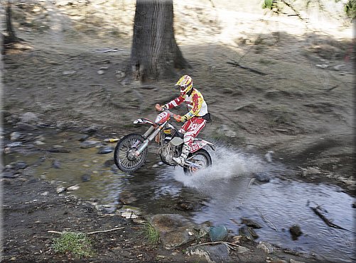 isde_0060_cervantes_07.jpg