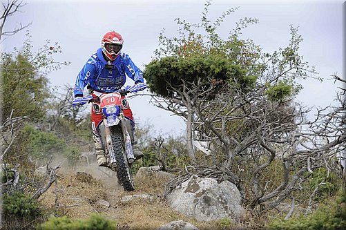 isde_0145_micheluz_4.jpg