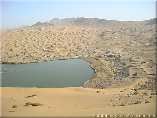 transorientale_reco_2007_0005.jpg